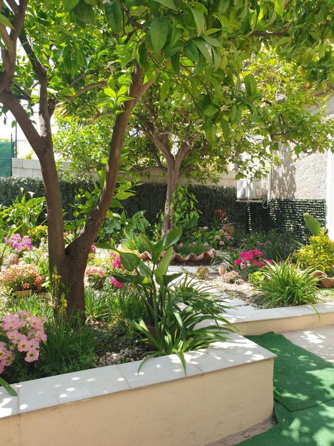 Martis Casa Vacanze Con Giardino E Area Barbecue מראה חיצוני תמונה
